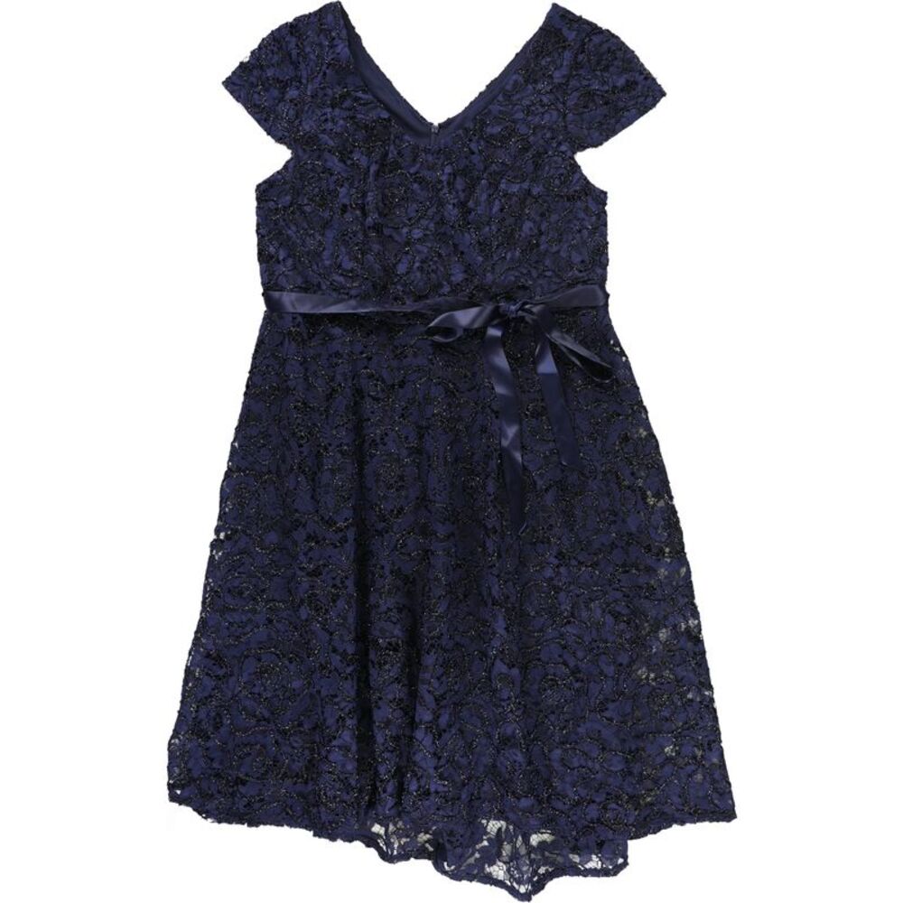 Alex Evenings Womens Plus Size Lace Midi Fit & Flare Cocktail Dress, NWT